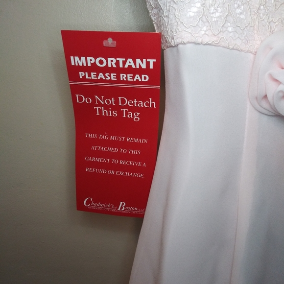 Vintage Girl's Lanz of Salzburg Pale Pink Lace & Chiffon Special Occasion Dress - Picture 12 of 15